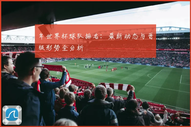 年世界杯球队排名：最新动态与晋级形势全分析