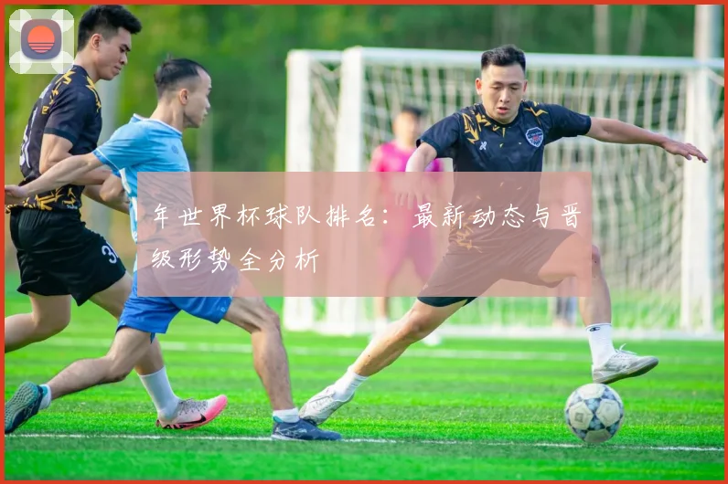 年世界杯球队排名：最新动态与晋级形势全分析