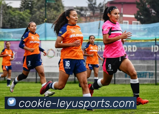 乐鱼体育服务体系